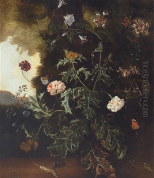 Still Life With Prickly Poppy, Carnations, Honeysuckle And Various Other Flowers With A Lizard On A Bird Nest, A Mouse, Butterflies And A Caterpillar Oil Painting by Alida Withoos