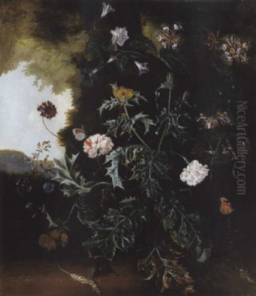 A Forest Floor Still Life With A Prickly Poppy, Carnations, Honeysuckle And Other Flowers With A Bird's Nest, Butterflies, A Caterpillar, A Lizard And A Mouse Oil Painting by Alida Withoos