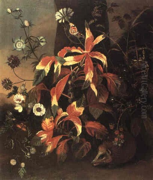 Blumen Am Waldrand Mit Einem Igel, Einer Eidechse Und       Schmetterlingen Oil Painting by Frans Withoos