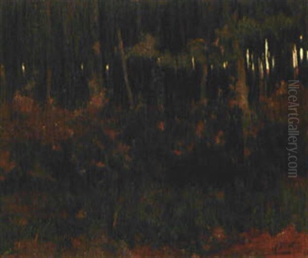 Dichter Wald Im Herbst Oil Painting by Willem Arnoldus Witsen