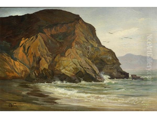 Rocky Coast With Birds Oil Painting by Henry Otto Wix