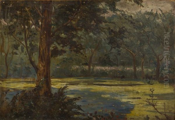 Forest Landscape Oil Painting by Wincenty Wodzinowski