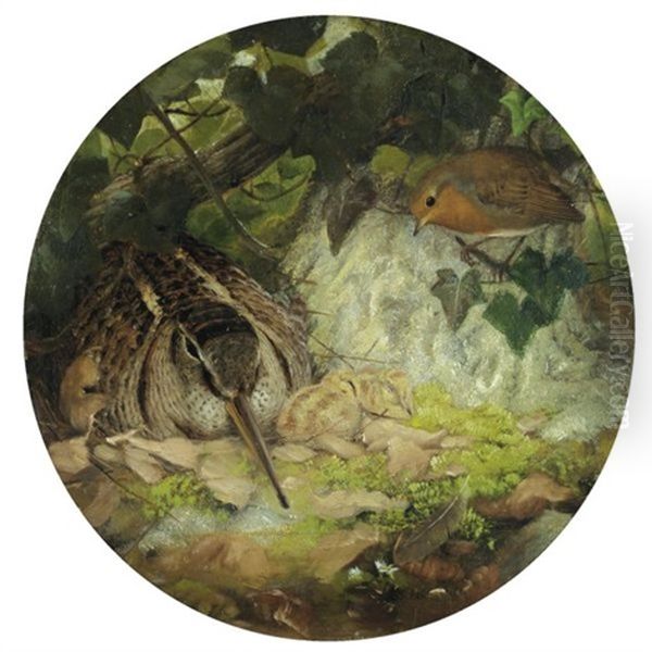 A Woodcock With Its Young And A Robin Oil Painting by Josef Wolf