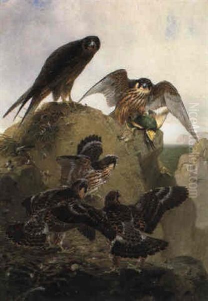 A Pair Of Eleanora's Falcons With Their Young At A Nest Site Oil Painting by Josef Wolf