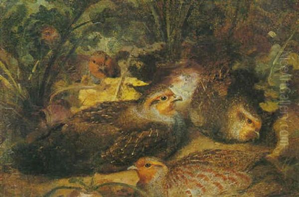 Partridges In A Field Of Beet Oil Painting by Josef Wolf