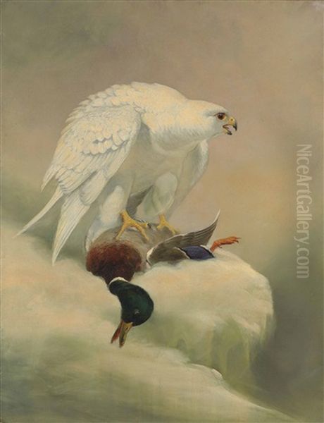 Gyrfalcon And Mallard Oil Painting by Joseph Wolf