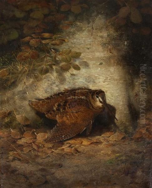 Autumn--wounded Woodcock, 1850 Oil Painting by Joseph Wolf