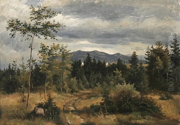 Schwarzwaldlandschaft Oil Painting by Max Wolf