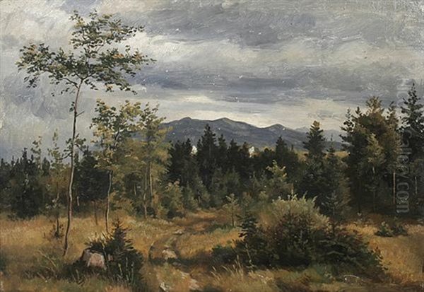 Schwarzwaldlandschaft Oil Painting by Max Wolf