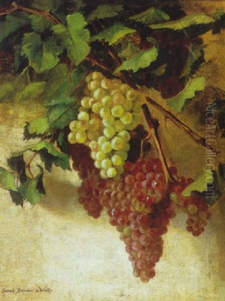 Still Life Of Grapes Oil Painting by Sarah Bender de Wolfe