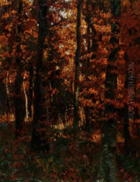 Wald In Leuchtendem Herbstlaub Oil Painting by Eugen Wolff