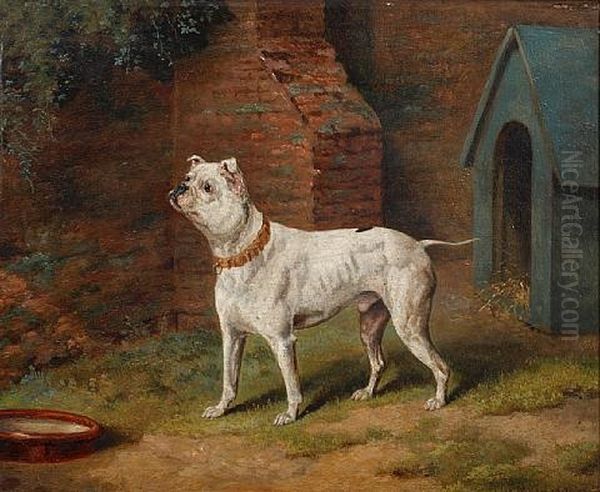 White Bulldog Before A Kennel Oil Painting by Dean Wolstenholme the Younger