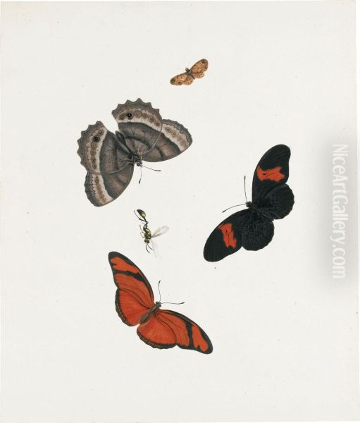 Three Butterflies, A Moth And A Wasp Oil Painting by Johannes Bronkhorst