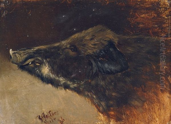 A Boar Oil Painting by Georg Wolters