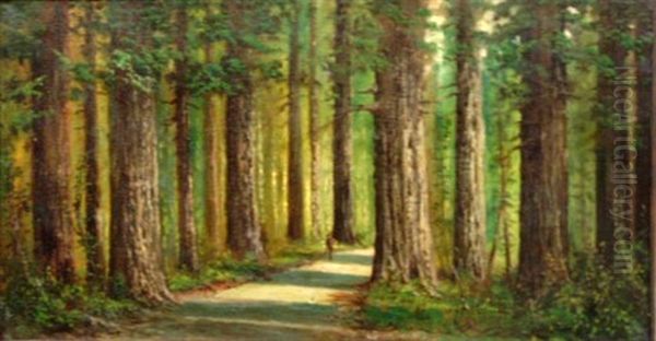 California Redwoods Oil Painting by Alexander M. Wood