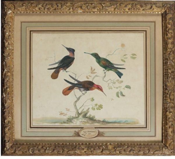 Trois Oiseaux Branches Oil Painting by Johannes Bronkhorst