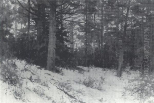 The Woods In Snow Oil Painting by John T. Wood