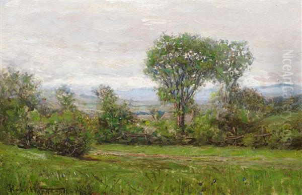 Summer Landscape Oil Painting by Percy Franklin Woodcock