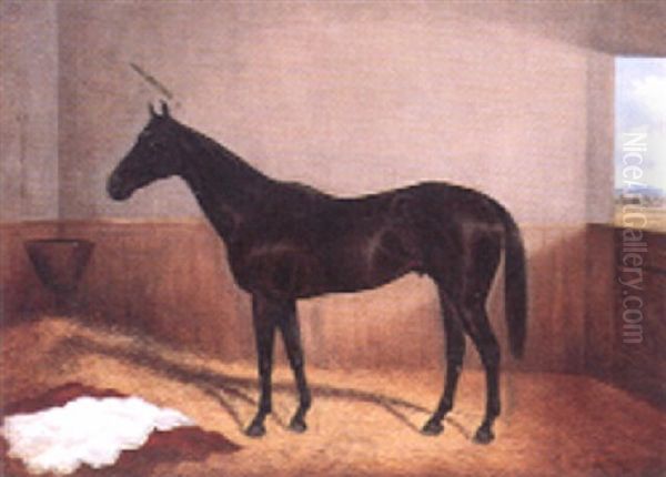 Thoroughbred In A Stable With View Through A Stable Door Oil Painting by Frederick Woodhouse Jr.