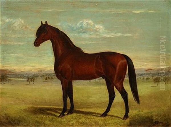 Untitled (horse) Oil Painting by Frederick Woodhouse Sr.