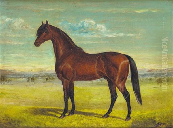 Equine Study Oil Painting by Frederick Woodhouse Sr.