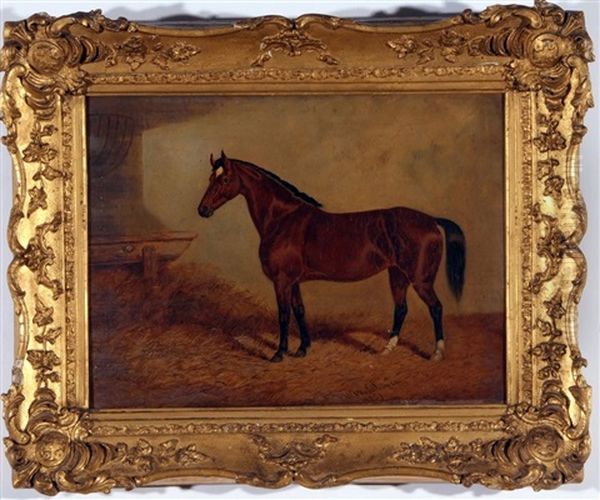 Brown Horse In Stable Oil Painting by Frederick Woodhouse Sr.