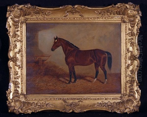 Brown Horse In Stable Oil Painting by Frederick Woodhouse Sr.