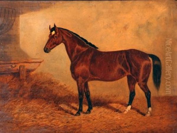 Brown Horse In Stable Oil Painting by Frederick Woodhouse Sr.