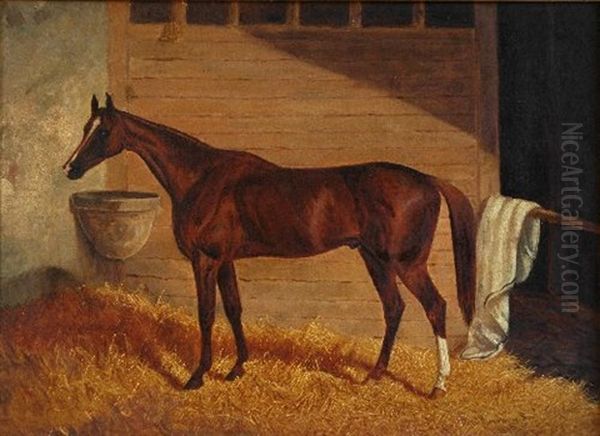 Portrait Of A Horse Oil Painting by Frederick Woodhouse Sr.