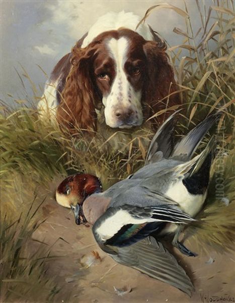 A Spaniel Retrieving A Widgeon Oil Painting by William Woodhouse