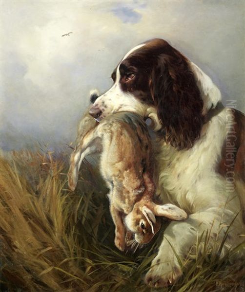 A Spaniel Retrieving A Hare Oil Painting by William Woodhouse