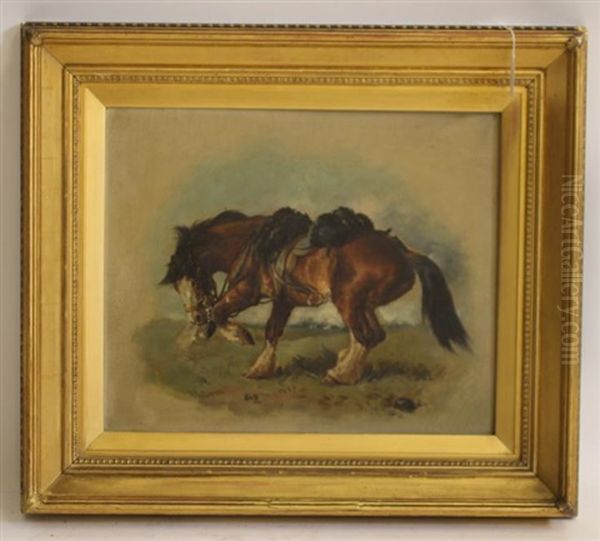 Portrait Of A Horse Oil Painting by William Woodhouse