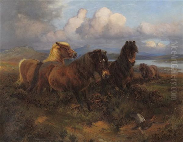 Ponies Grazing Beside A Sunlit Estuary Oil Painting by William Woodhouse