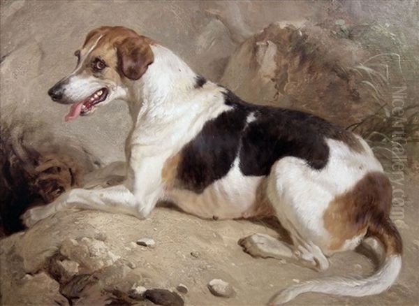 Foxhound At An Earth - Portrait Of A Black And Tan Hound Seated On A Rocky Outcrop Oil Painting by Thomas Woodward