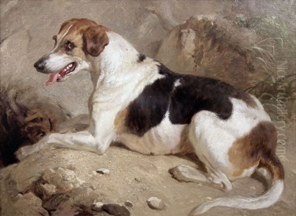 Foxhound At An Earth Oil Painting by Thomas Woodward