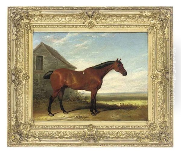 A Favorite Hunter Oil Painting by Thomas Woodward