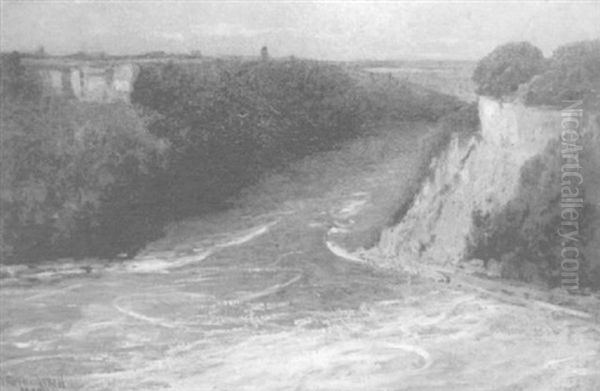 The Whirlpool, Niagara Falls Oil Painting by Joseph (or James) R. Woodwell