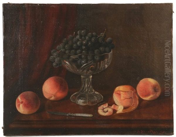 Still Life Of Fruit Oil Painting by Austin C. Wooster