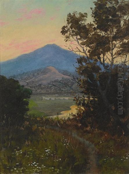 Mt. Tamalpais Oil Painting by Theodore Wores