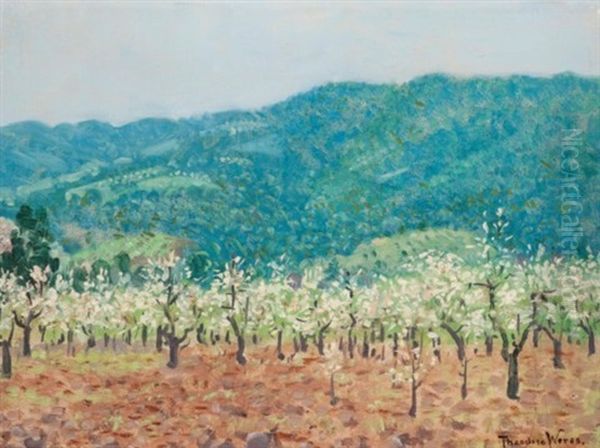 Orchard In The Mountains Of Saratoga, California Oil Painting by Theodore Wores