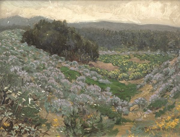 Blue Lupine Of The Sand Dunes S.f. Oil Painting by Theodore Wores