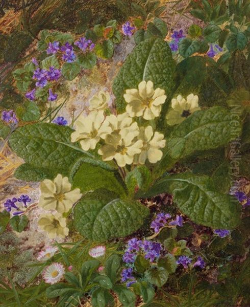 Still Life Of Wild Primroses Oil Painting by Thomas Worsey