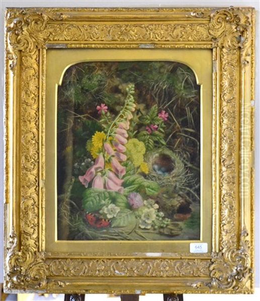 Still Life Of A Bird's Nest, Butterflies And Foxgloves Oil Painting by Thomas Worsey