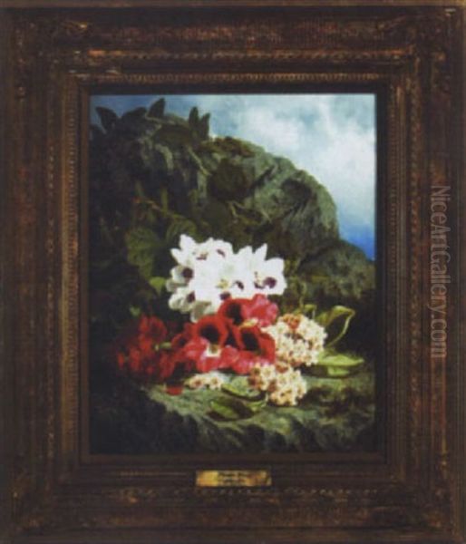 Red And White Geraniums With Waxflower Oil Painting by Thomas Worsey