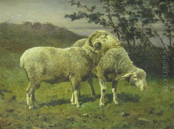 Sheep At Pasture Oil Painting by Edouard Woutermaertens