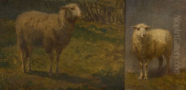 Mouton (2 Works) Oil Painting by Edouard Woutermaertens