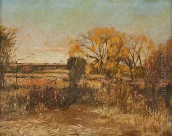 Vlei Landscape Oil Painting by Anton Van Wouw