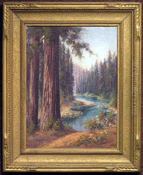 California Redwoods Oil Painting by Cory Bernice Wright