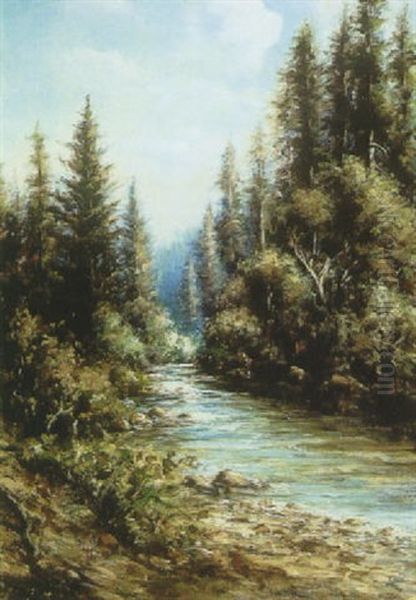 Stream Through The Wood Oil Painting by Cory Bernice Wright