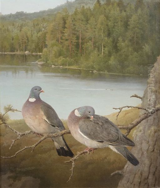 Pigeons Oil Painting by Ferdinand von Wright